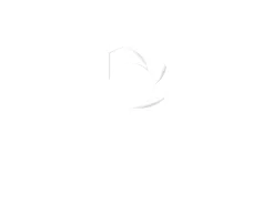 Boolment Software Development